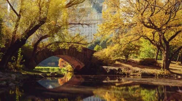Central Park